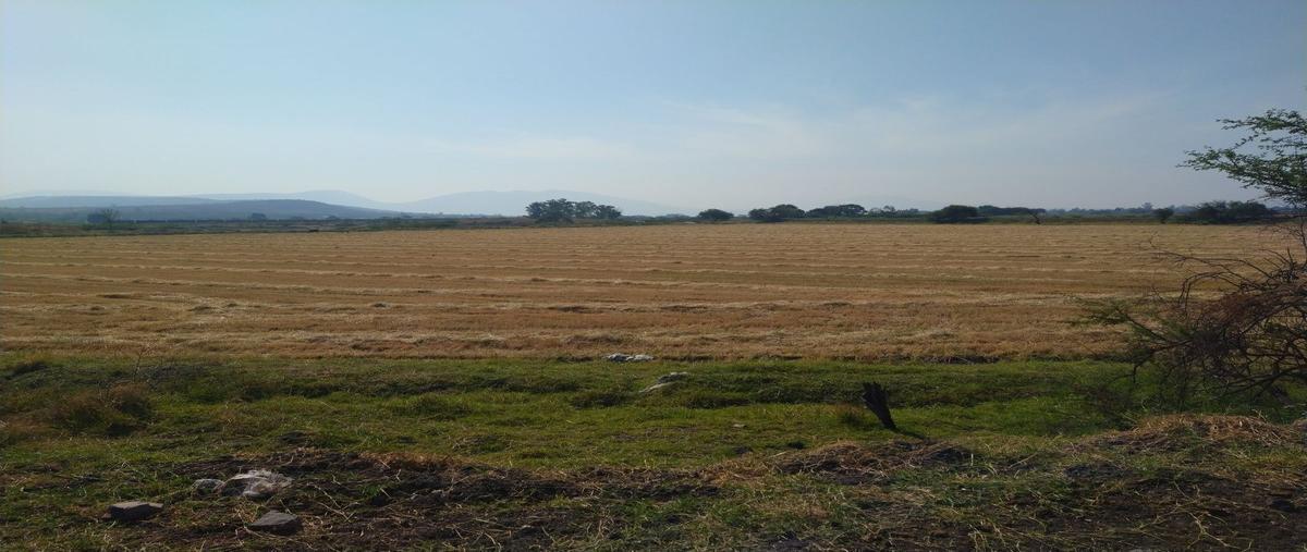 Foto de terreno industrial en venta en  , el salto centro, el salto, jalisco, 30248862 No. 01