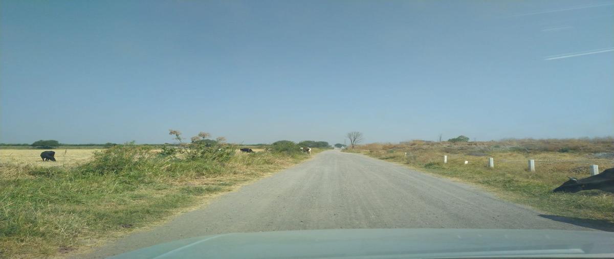 Foto de terreno industrial en venta en  , el salto centro, el salto, jalisco, 30248862 No. 02