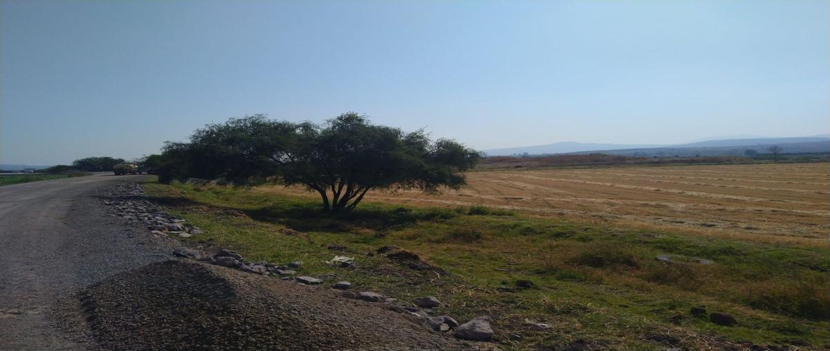 Foto de terreno industrial en venta en  , el salto centro, el salto, jalisco, 30248862 No. 03