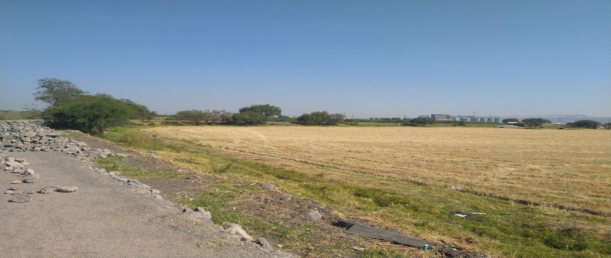 Foto de terreno industrial en venta en  , el salto centro, el salto, jalisco, 30248862 No. 04