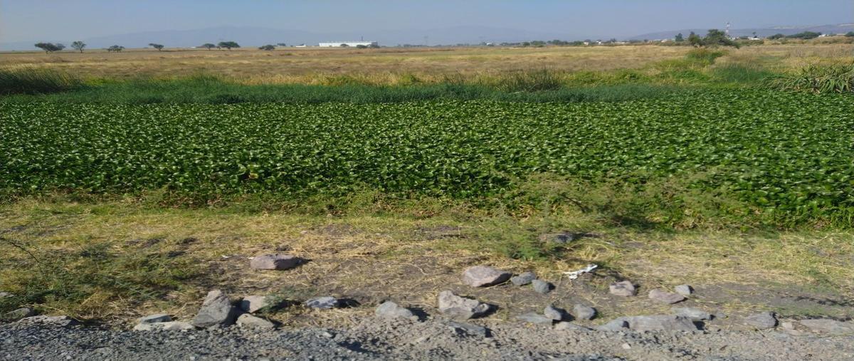 Foto de terreno industrial en venta en  , el salto centro, el salto, jalisco, 30248862 No. 05
