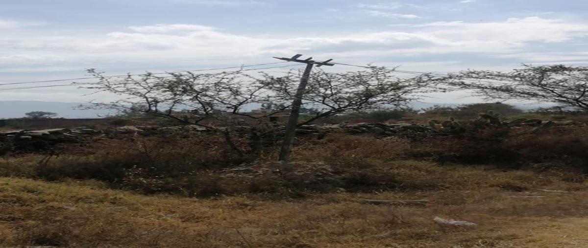 Foto de terreno habitacional en venta en el salto , el sabino, el salto, jalisco, 0 No. 03