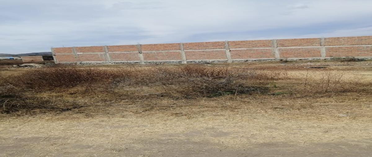 Foto de terreno habitacional en venta en el salto , el sabino, el salto, jalisco, 0 No. 04