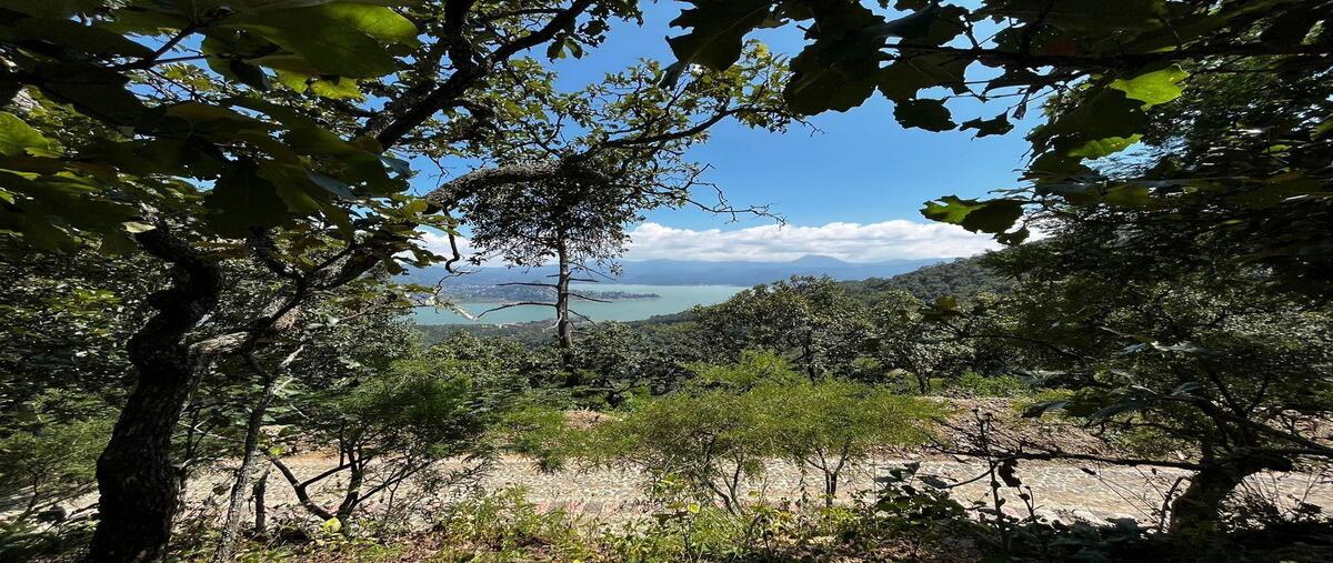 Foto de terreno industrial en venta en el santuario , san antonio, valle de bravo, méxico, 29904763 No. 04