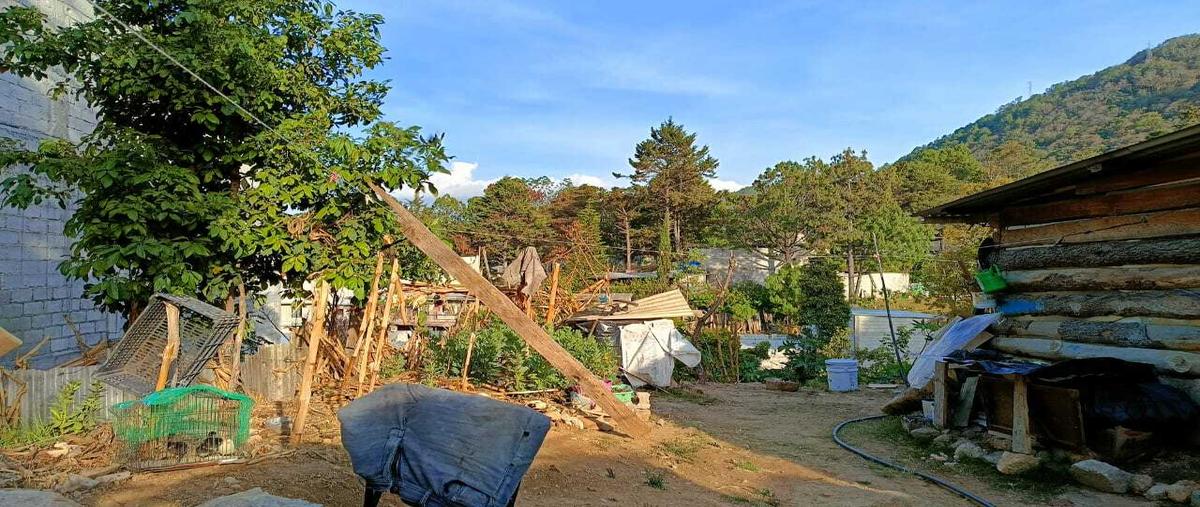 Foto de terreno habitacional en venta en  , el santuario, san cristóbal de las casas, chiapas, 29693930 No. 04