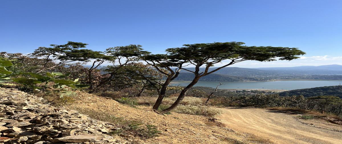 Foto de terreno habitacional en venta en el santuario , san gaspar, valle de bravo, méxico, 28459480 No. 04