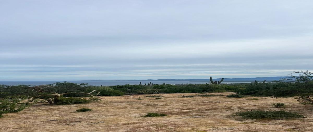 Foto de terreno habitacional en venta en  , el sargento, la paz, baja california sur, 27705541 No. 02