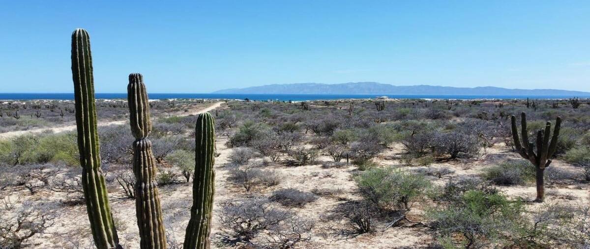 Foto de terreno habitacional en , el sargento, la paz, baja california sur, 28432695 foto 01 Foto de terreno habitacional en venta en , el sargento, la paz, baja california sur, 28432695 No. 01