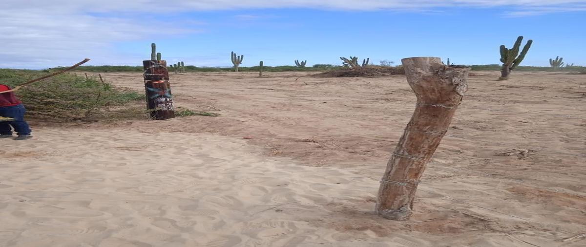 Foto de terreno habitacional en , el sargento, la paz, baja california sur, 28432695 foto 03 Foto de terreno habitacional en venta en , el sargento, la paz, baja california sur, 28432695 No. 03