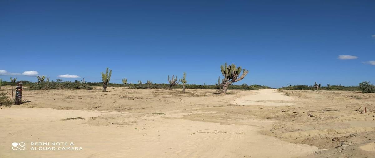 Foto de terreno habitacional en , el sargento, la paz, baja california sur, 28432695 foto 04 Foto de terreno habitacional en venta en , el sargento, la paz, baja california sur, 28432695 No. 04