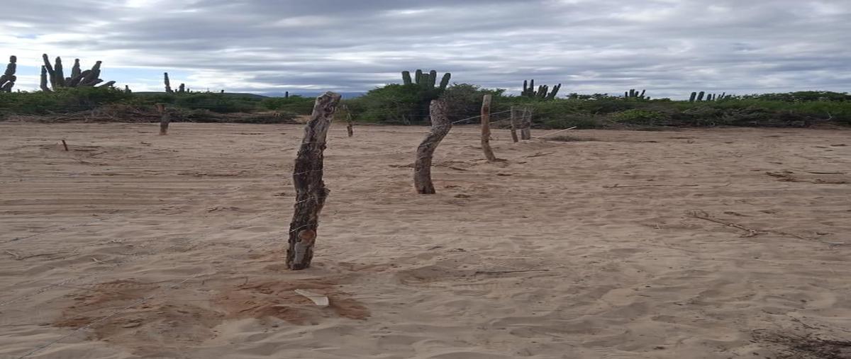 Foto de terreno habitacional en , el sargento, la paz, baja california sur, 28432695 foto 05 Foto de terreno habitacional en venta en , el sargento, la paz, baja california sur, 28432695 No. 05
