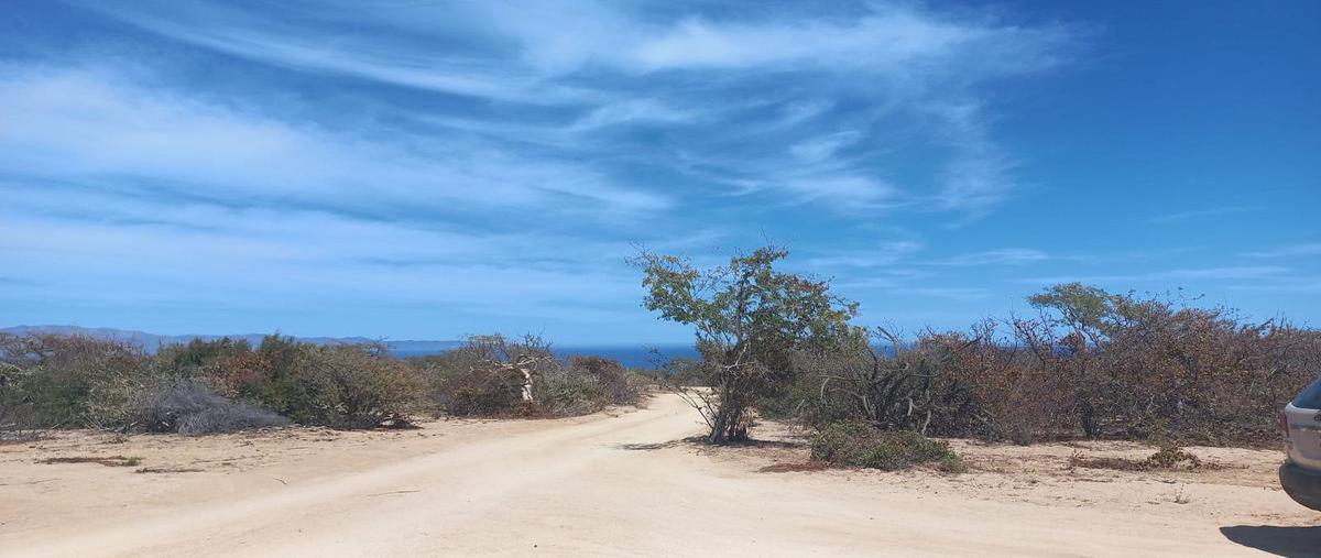 Foto de terreno habitacional en venta en  , el sargento, la paz, baja california sur, 0 No. 01