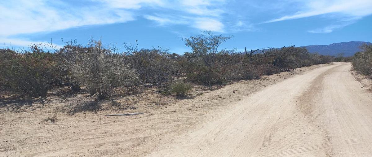 Foto de terreno habitacional en venta en  , el sargento, la paz, baja california sur, 0 No. 02