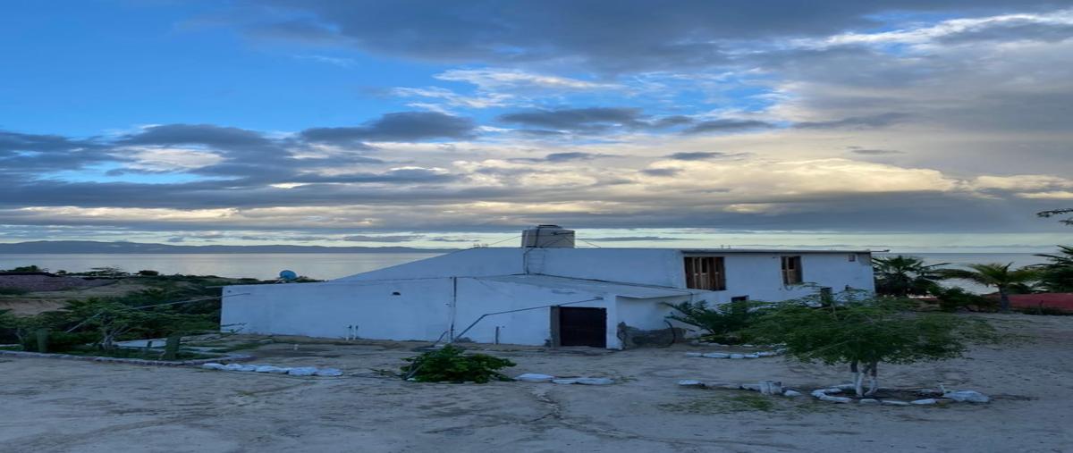 Foto de terreno habitacional en , el sargento, la paz, baja california sur, 28737979 foto 05 Foto de terreno habitacional en venta en , el sargento, la paz, baja california sur, 28737979 No. 05
