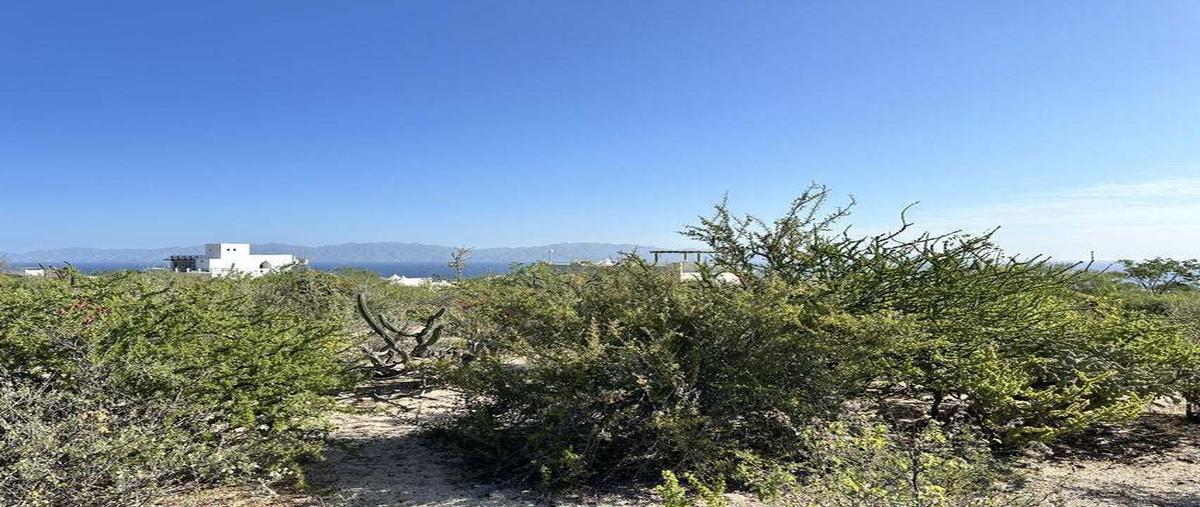 Foto de terreno habitacional en venta en  , el sargento, la paz, baja california sur, 28775958 No. 05