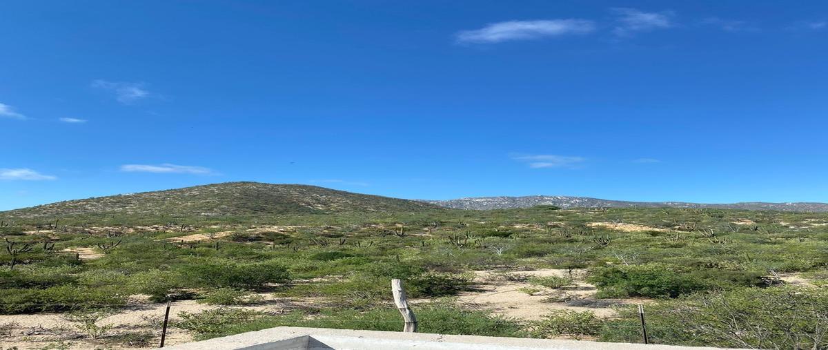 Foto de terreno habitacional en venta en  , el sargento, la paz, baja california sur, 0 No. 03
