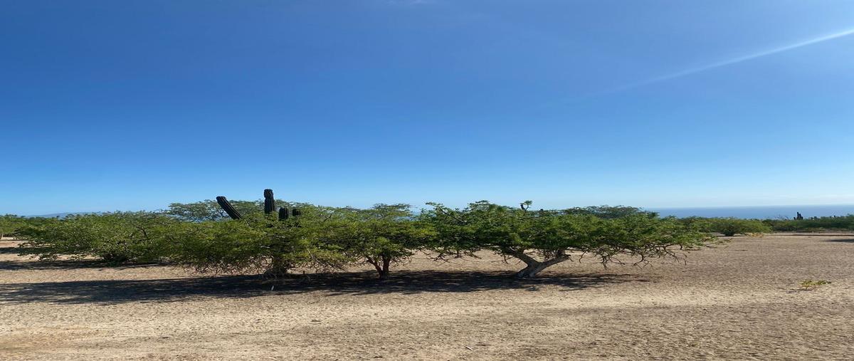 Foto de terreno habitacional en venta en  , el sargento, la paz, baja california sur, 0 No. 05