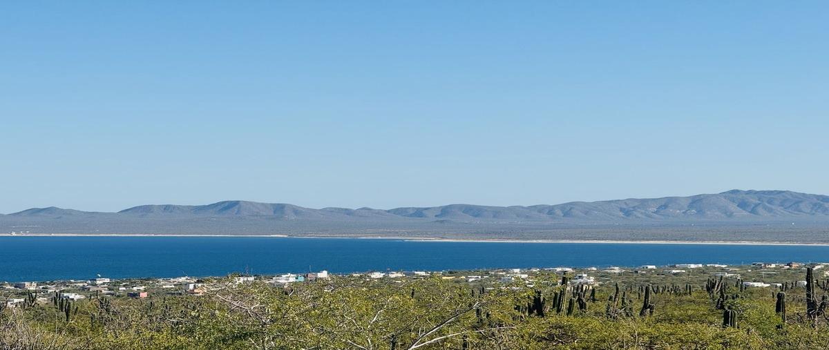 Foto de terreno habitacional en , el sargento, la paz, baja california sur, 0 foto 01 Foto de terreno habitacional en venta en , el sargento, la paz, baja california sur, 0 No. 01