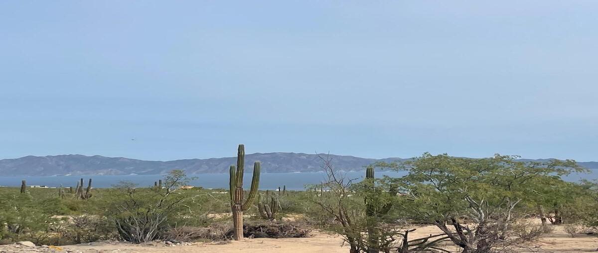 Foto de terreno habitacional en , el sargento, la paz, baja california sur, 0 foto 03 Foto de terreno habitacional en venta en , el sargento, la paz, baja california sur, 0 No. 03