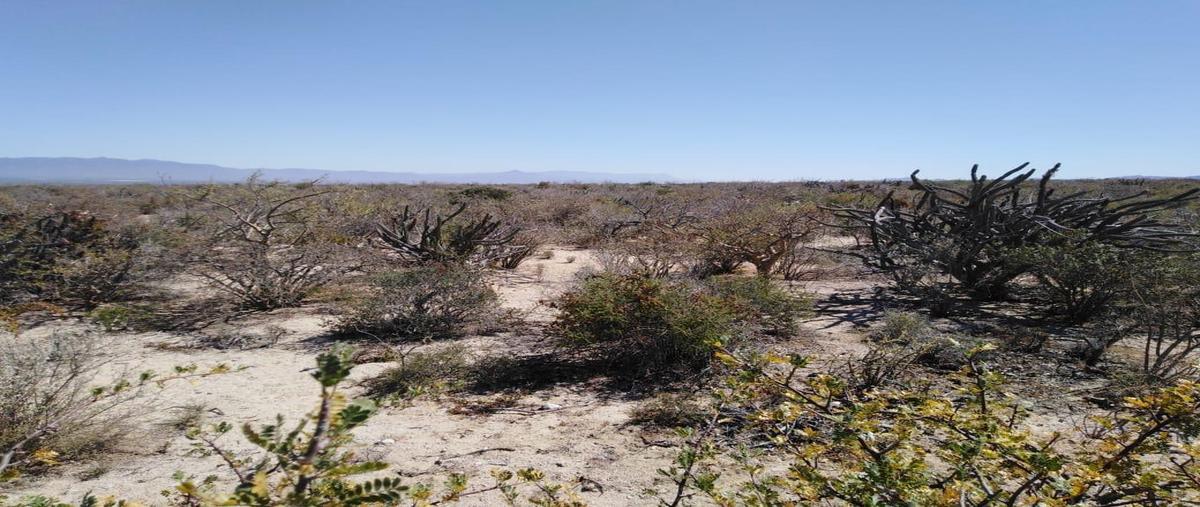 Foto de terreno habitacional en , el sargento, la paz, baja california sur, 30020850 foto 01 Foto de terreno habitacional en venta en , el sargento, la paz, baja california sur, 30020850 No. 01