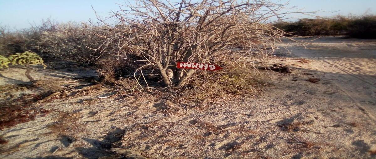 Foto de terreno habitacional en , el sargento, la paz, baja california sur, 30020850 foto 03 Foto de terreno habitacional en venta en , el sargento, la paz, baja california sur, 30020850 No. 03