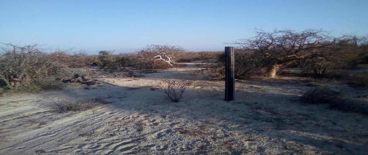 Foto de terreno habitacional en , el sargento, la paz, baja california sur, 0 foto 04 Foto de terreno habitacional en venta en , el sargento, la paz, baja california sur, 0 No. 04