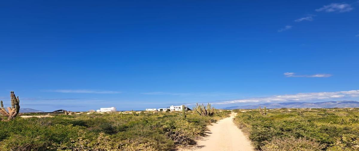 Foto de terreno habitacional en venta en  , el sargento, la paz, baja california sur, 0 No. 03