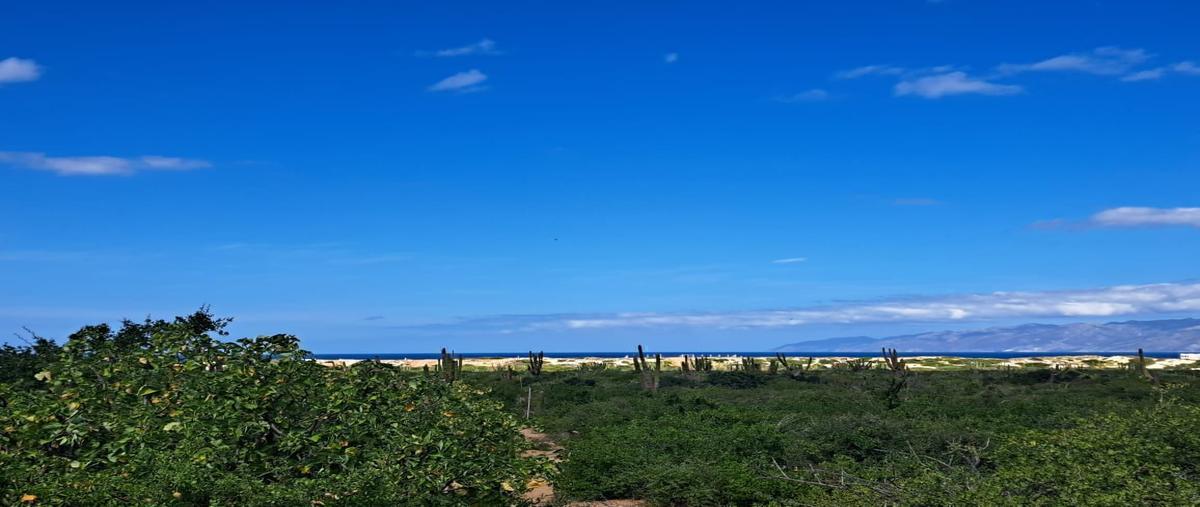 Foto de terreno habitacional en venta en  , el sargento, la paz, baja california sur, 0 No. 05