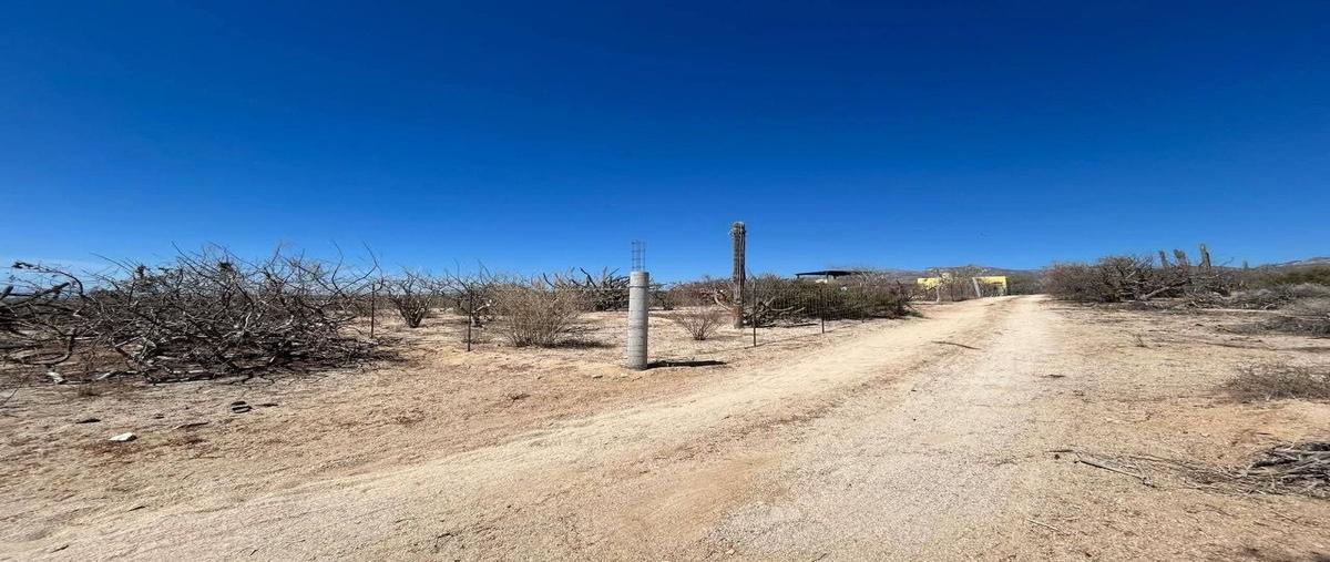 Foto de terreno habitacional en venta en  , el sargento, la paz, baja california sur, 0 No. 02