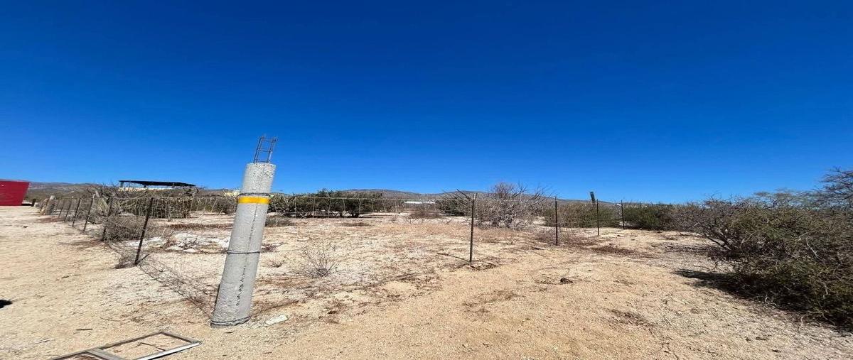 Foto de terreno habitacional en venta en  , el sargento, la paz, baja california sur, 0 No. 03