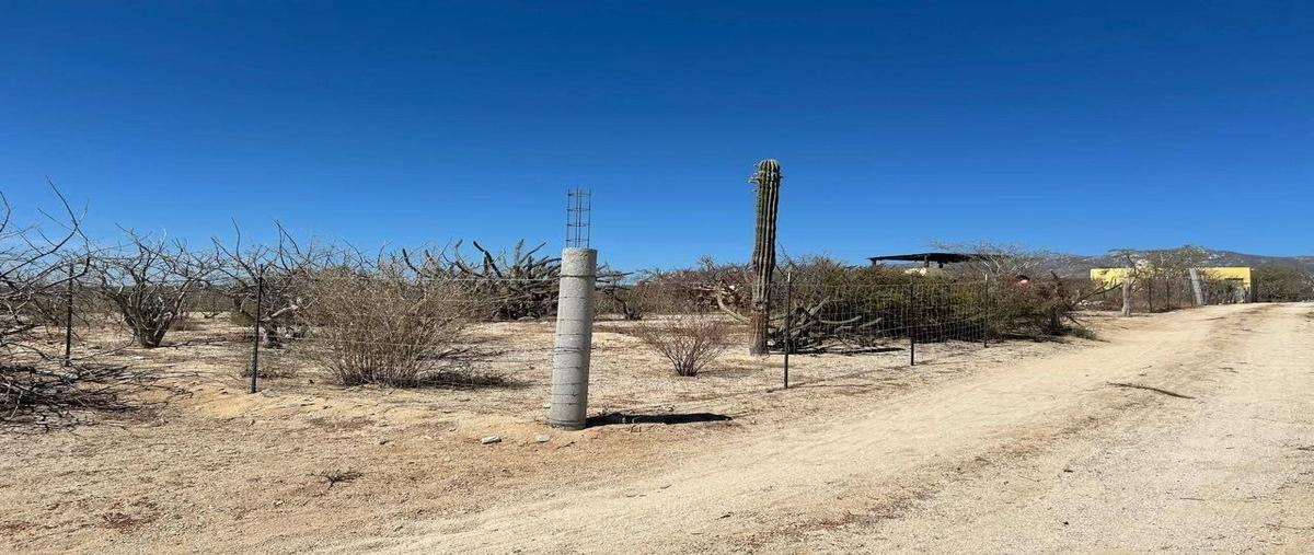 Foto de terreno habitacional en venta en  , el sargento, la paz, baja california sur, 0 No. 04