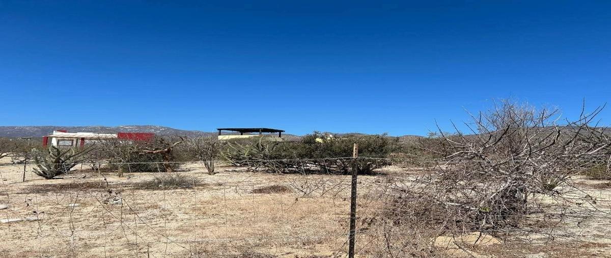 Foto de terreno habitacional en venta en  , el sargento, la paz, baja california sur, 0 No. 05
