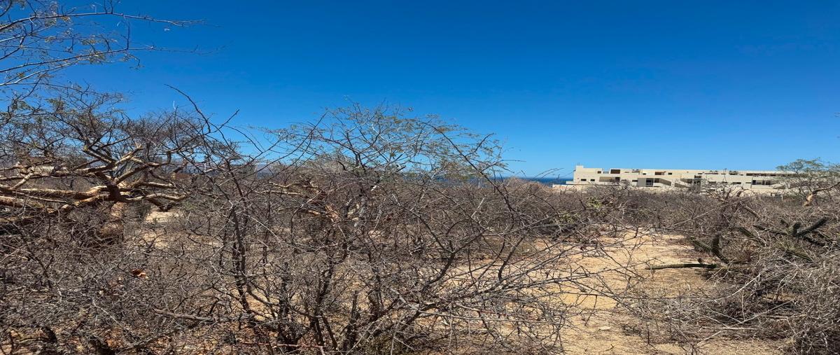 Foto de terreno habitacional en venta en  , el sargento, la paz, baja california sur, 0 No. 01