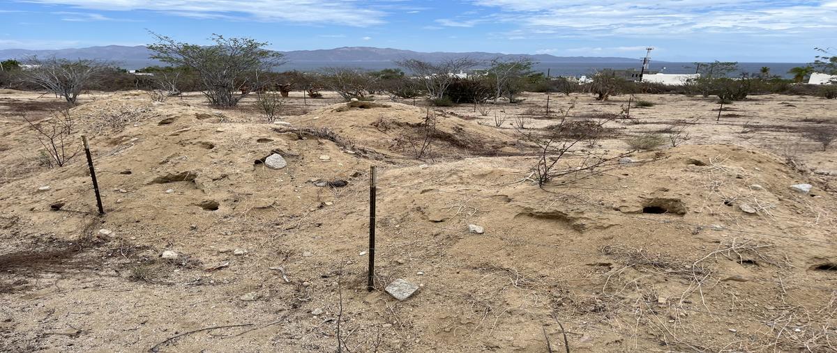 Foto de terreno habitacional en venta en  , el sargento, la paz, baja california sur, 0 No. 01