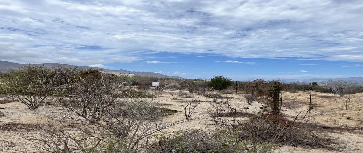 Foto de terreno habitacional en venta en  , el sargento, la paz, baja california sur, 0 No. 02