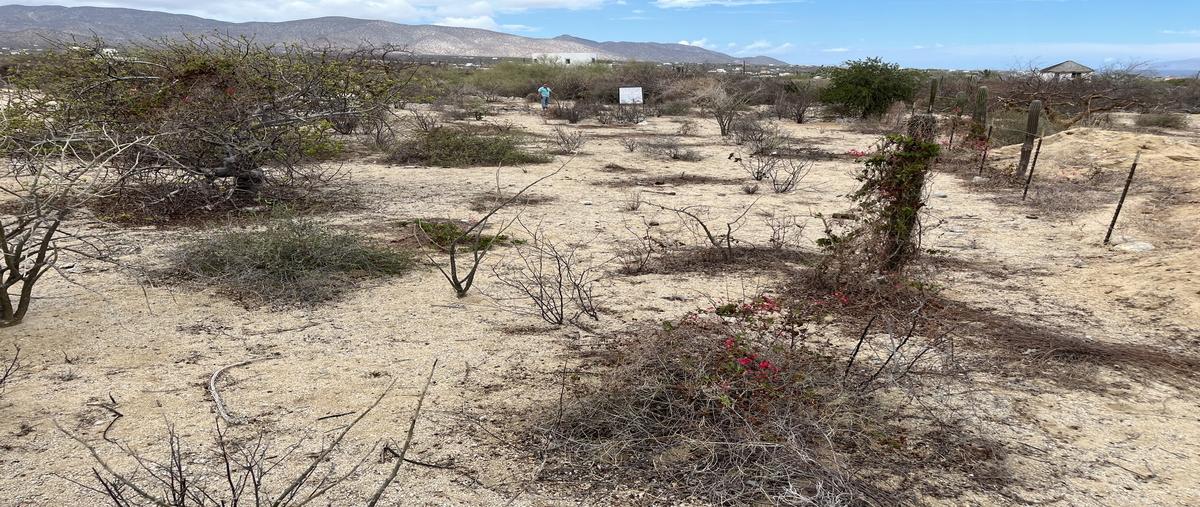 Foto de terreno habitacional en venta en  , el sargento, la paz, baja california sur, 0 No. 03