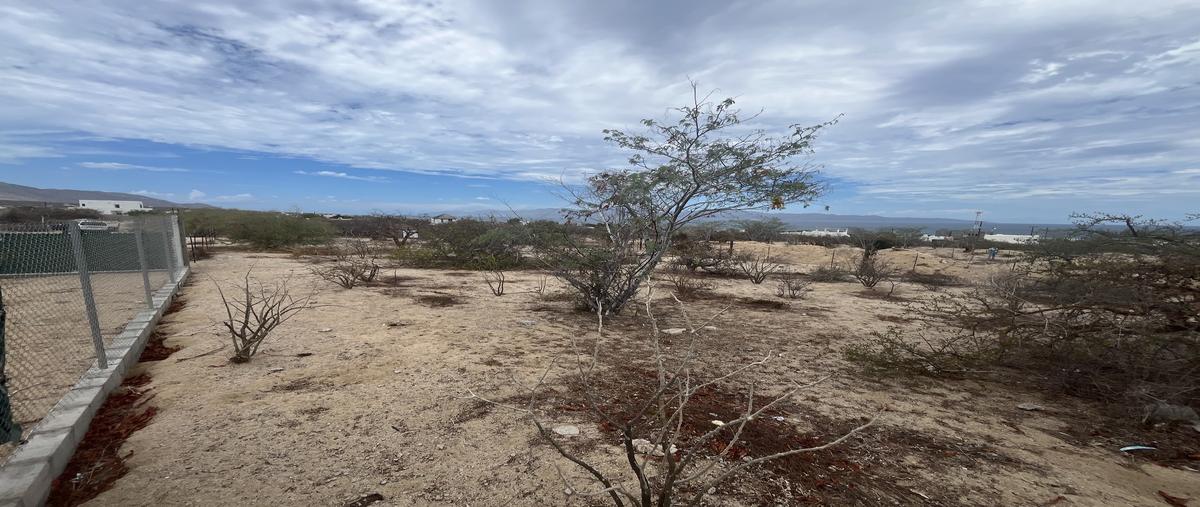 Foto de terreno habitacional en venta en  , el sargento, la paz, baja california sur, 0 No. 05