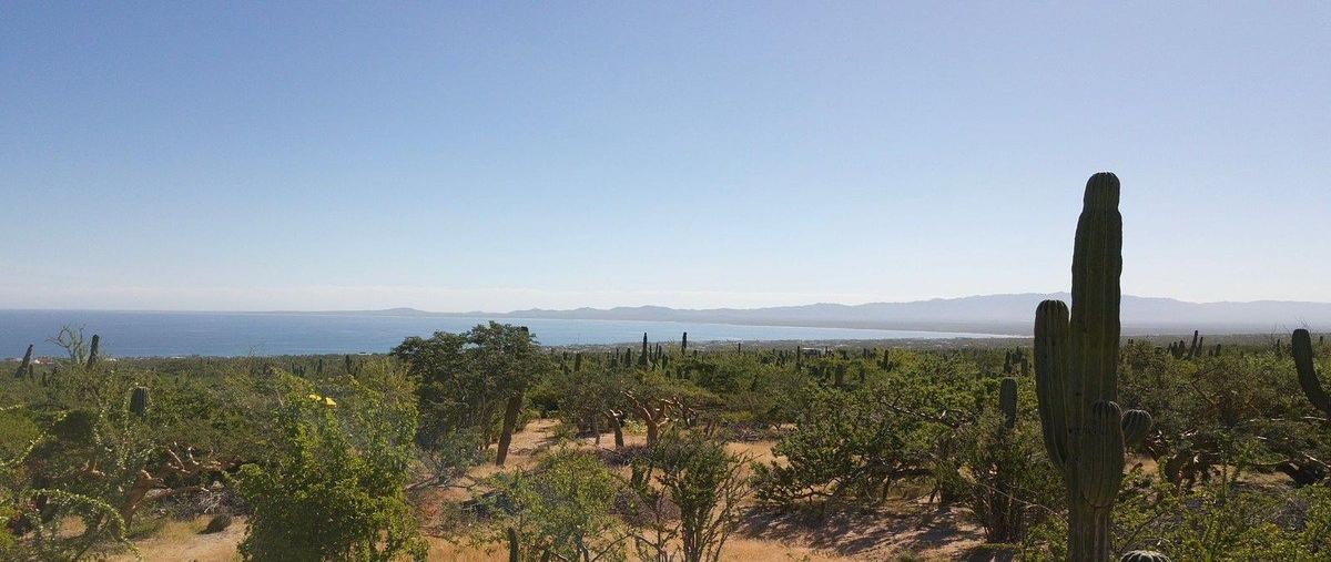 Foto de terreno habitacional en venta en  , el sargento, la paz, baja california sur, 0 No. 03