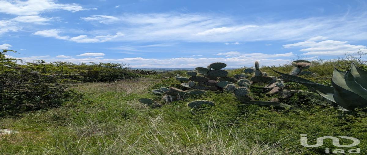 Foto de terreno habitacional en el saucito , el saucito, amealco de bonfil, querétaro, 30291490 foto 02 Foto de terreno habitacional en venta en el saucito , el saucito, amealco de bonfil, querétaro, 30291490 No. 02