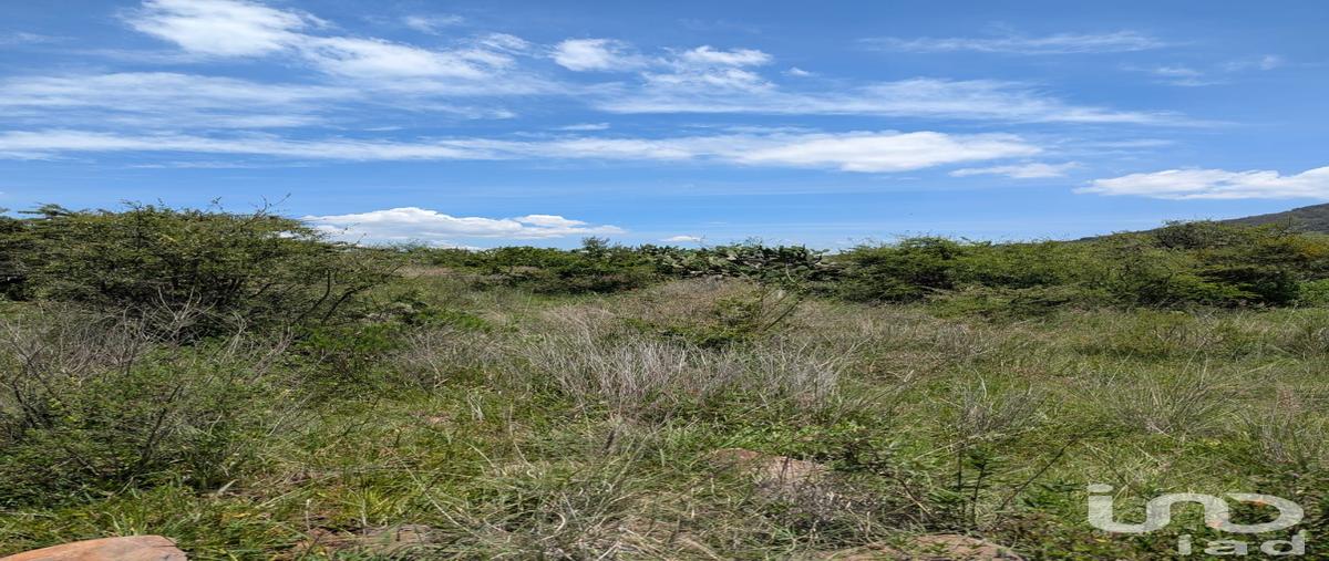 Foto de terreno habitacional en el saucito , el saucito, amealco de bonfil, querétaro, 30291490 foto 03 Foto de terreno habitacional en venta en el saucito , el saucito, amealco de bonfil, querétaro, 30291490 No. 03