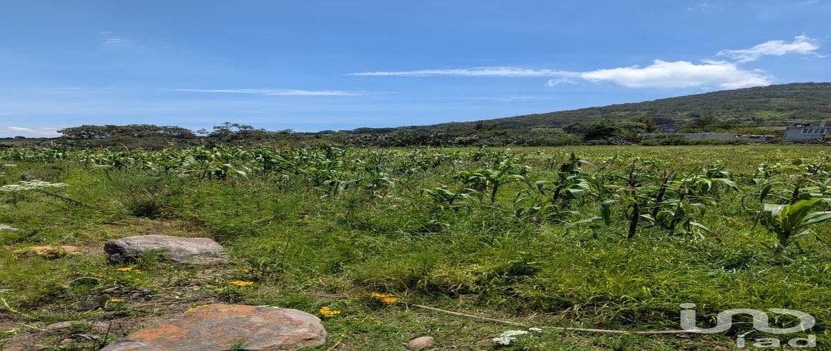 Foto de terreno habitacional en venta en el saucito , el saucito, amealco de bonfil, querétaro, 30291514 No. 04