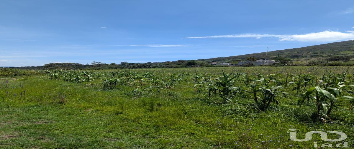 Foto de terreno habitacional en venta en el saucito , el saucito, amealco de bonfil, querétaro, 30291514 No. 05