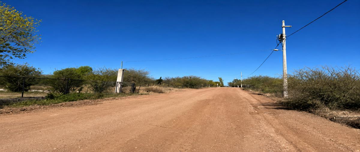 Foto de casa en venta en  , el saucito, hermosillo, sonora, 0 No. 05