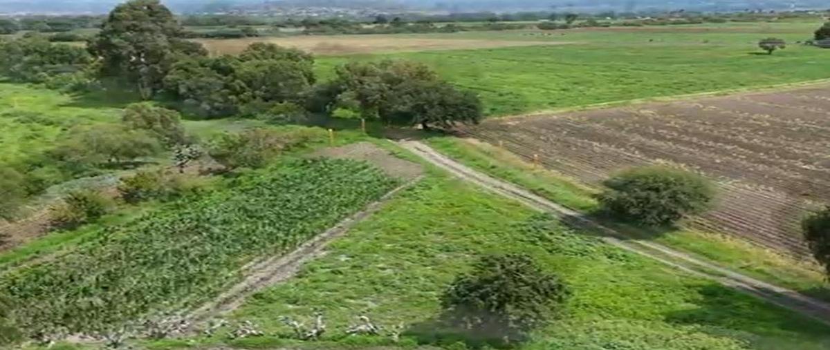 Foto de terreno habitacional en venta en  , el sáuz bajo, pedro escobedo, querétaro, 0 No. 03
