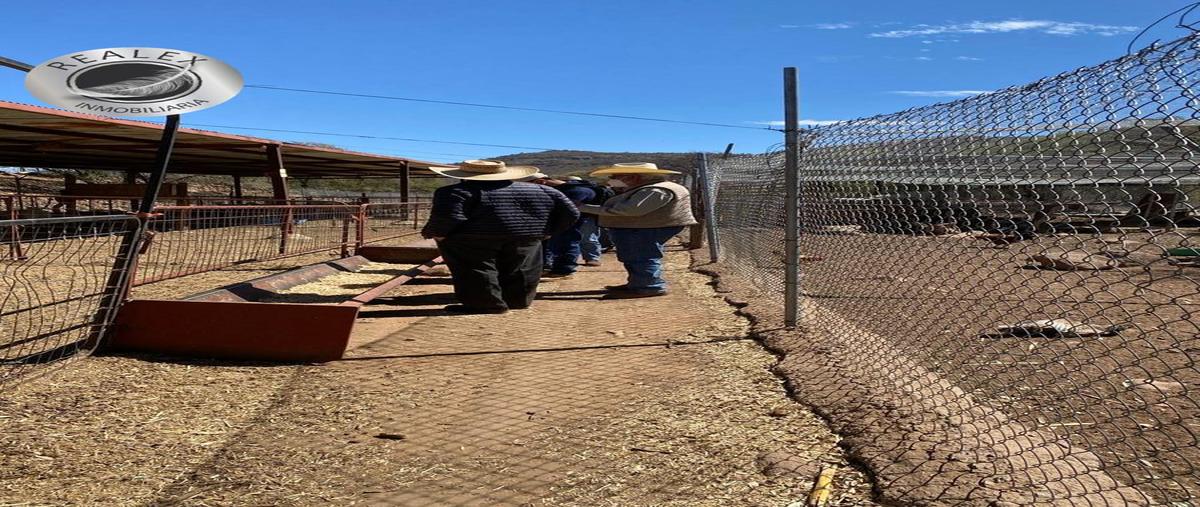 Foto de rancho en venta en  , el sáuz, chihuahua, chihuahua, 0 No. 03
