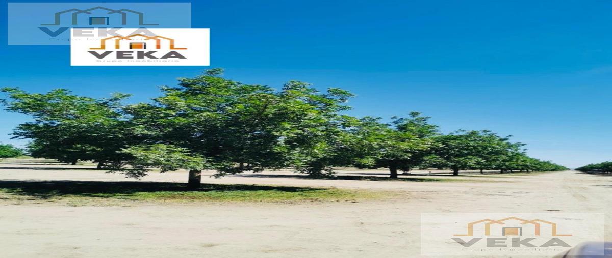 Foto de rancho en , el sáuz, chihuahua, chihuahua, 29394629 foto 01 Foto de rancho en venta en , el sáuz, chihuahua, chihuahua, 29394629 No. 01