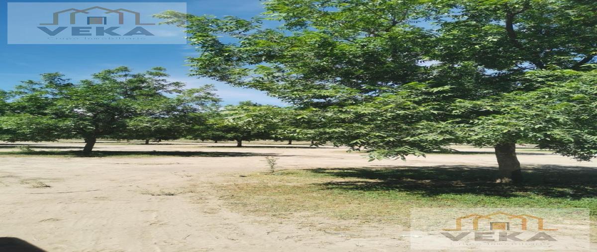 Foto de rancho en , el sáuz, chihuahua, chihuahua, 29394629 foto 02 Foto de rancho en venta en , el sáuz, chihuahua, chihuahua, 29394629 No. 02