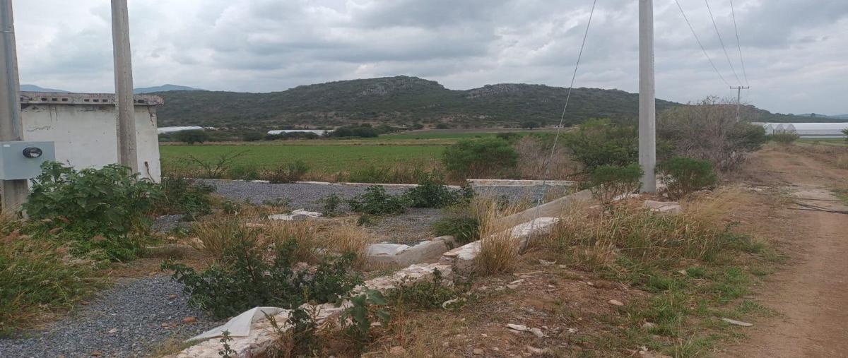 Foto de terreno habitacional en venta en . , el sáuz, tequisquiapan, querétaro, 26949831 No. 05