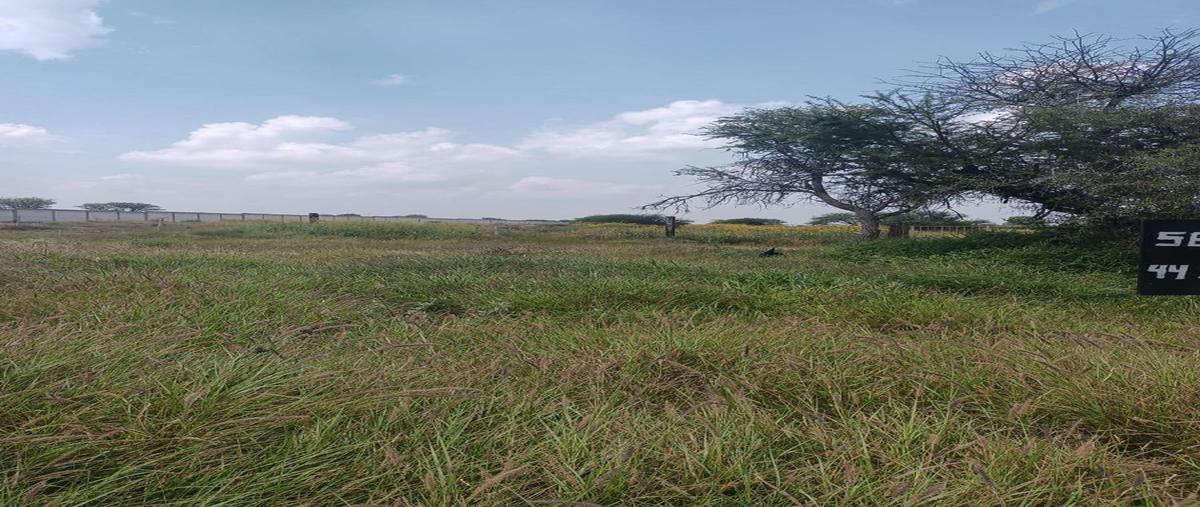 Foto de terreno habitacional en , el sáuz, tequisquiapan, querétaro, 0 foto 03 Foto de terreno habitacional en venta en , el sáuz, tequisquiapan, querétaro, 0 No. 03