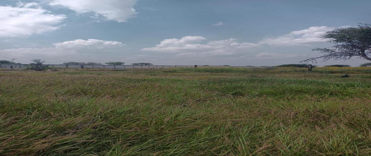 Foto de terreno habitacional en , el sáuz, tequisquiapan, querétaro, 0 foto 04 Foto de terreno habitacional en venta en , el sáuz, tequisquiapan, querétaro, 0 No. 04